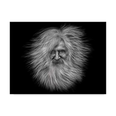 Hans W Muller 'Mr Hair' Canvas Art,18x24